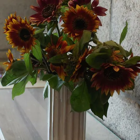 Czarna Wieza * לבובק שלאוסקי