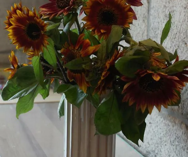 Czarna Wieza * Lwowek Slaski